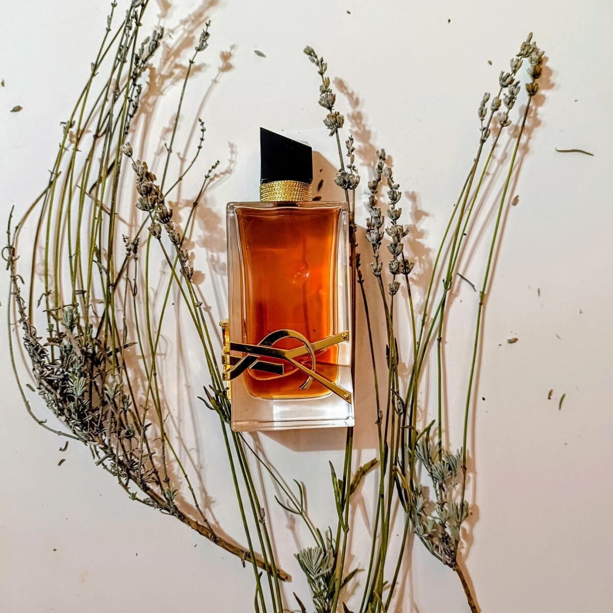 Libre Intense Saint Lauren